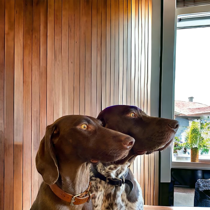 Idaho GSP
