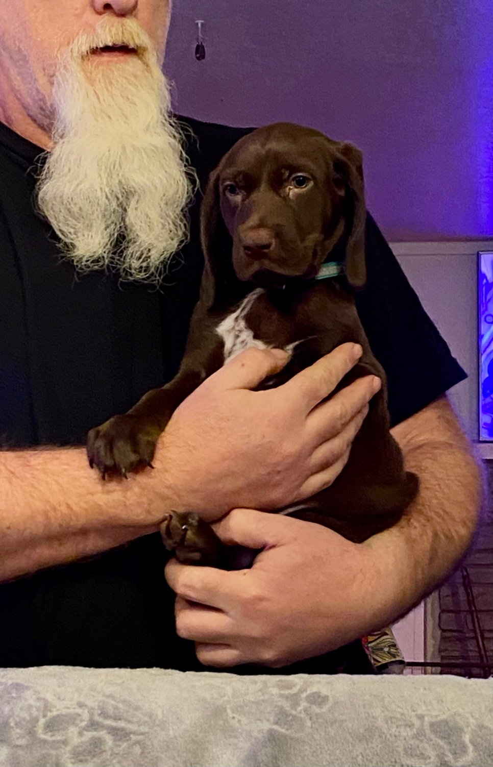 Blue Girl Fall 2025 001