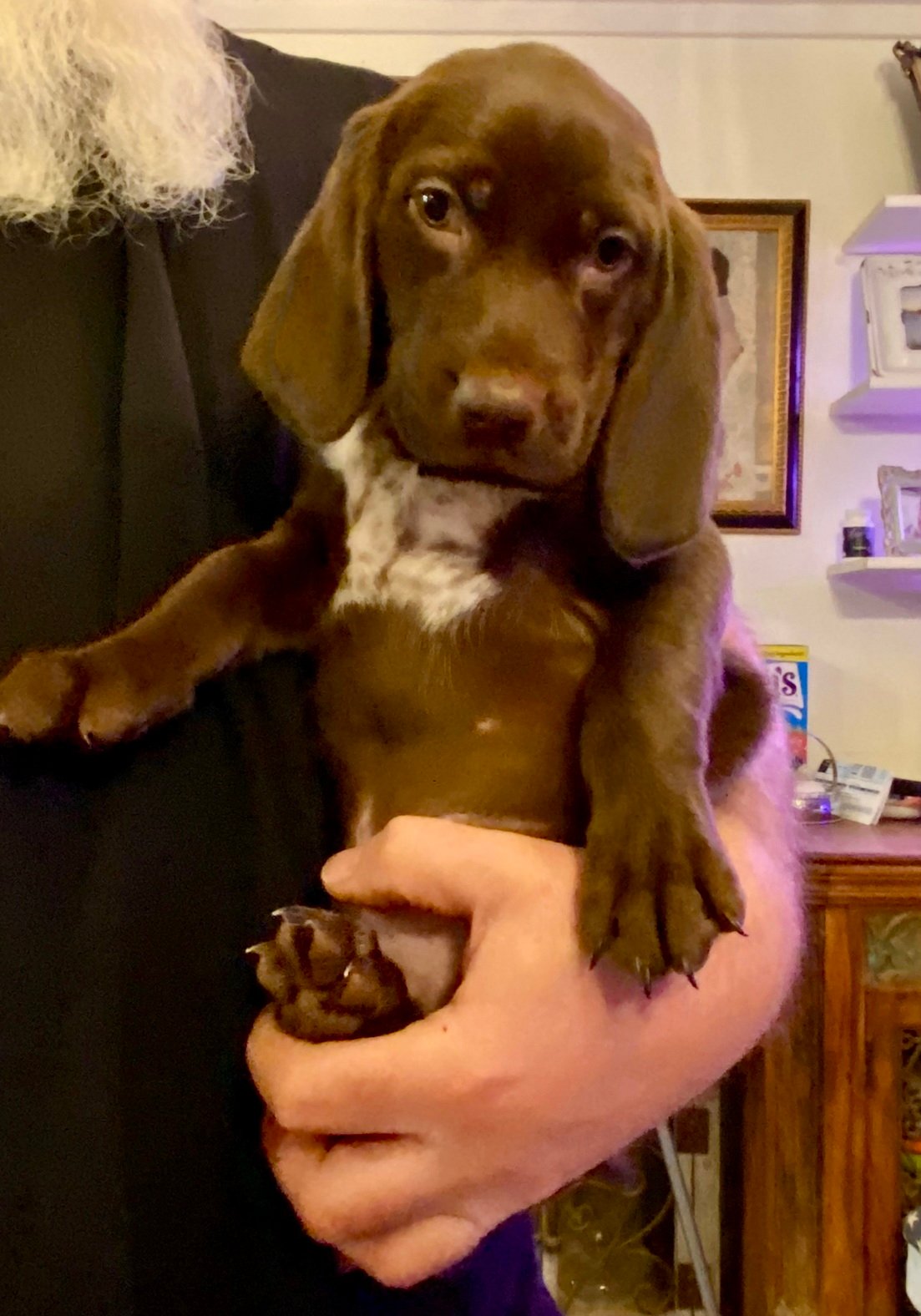 Blue Girl Fall 2025 002