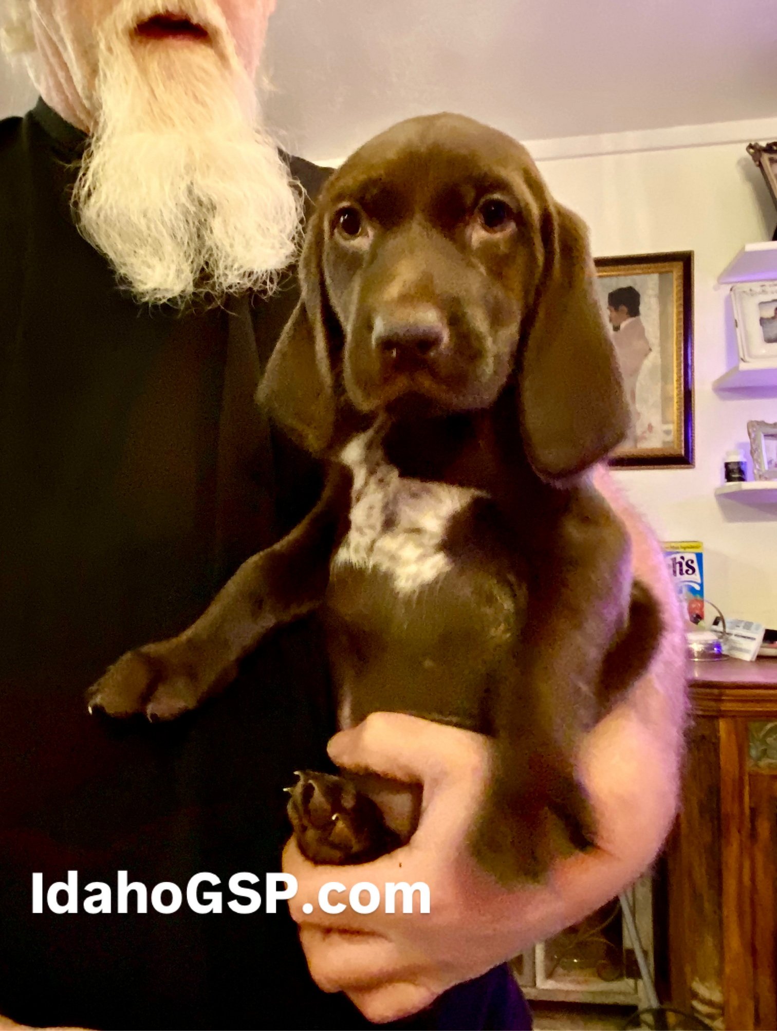 Blue Girl Fall 2025 003