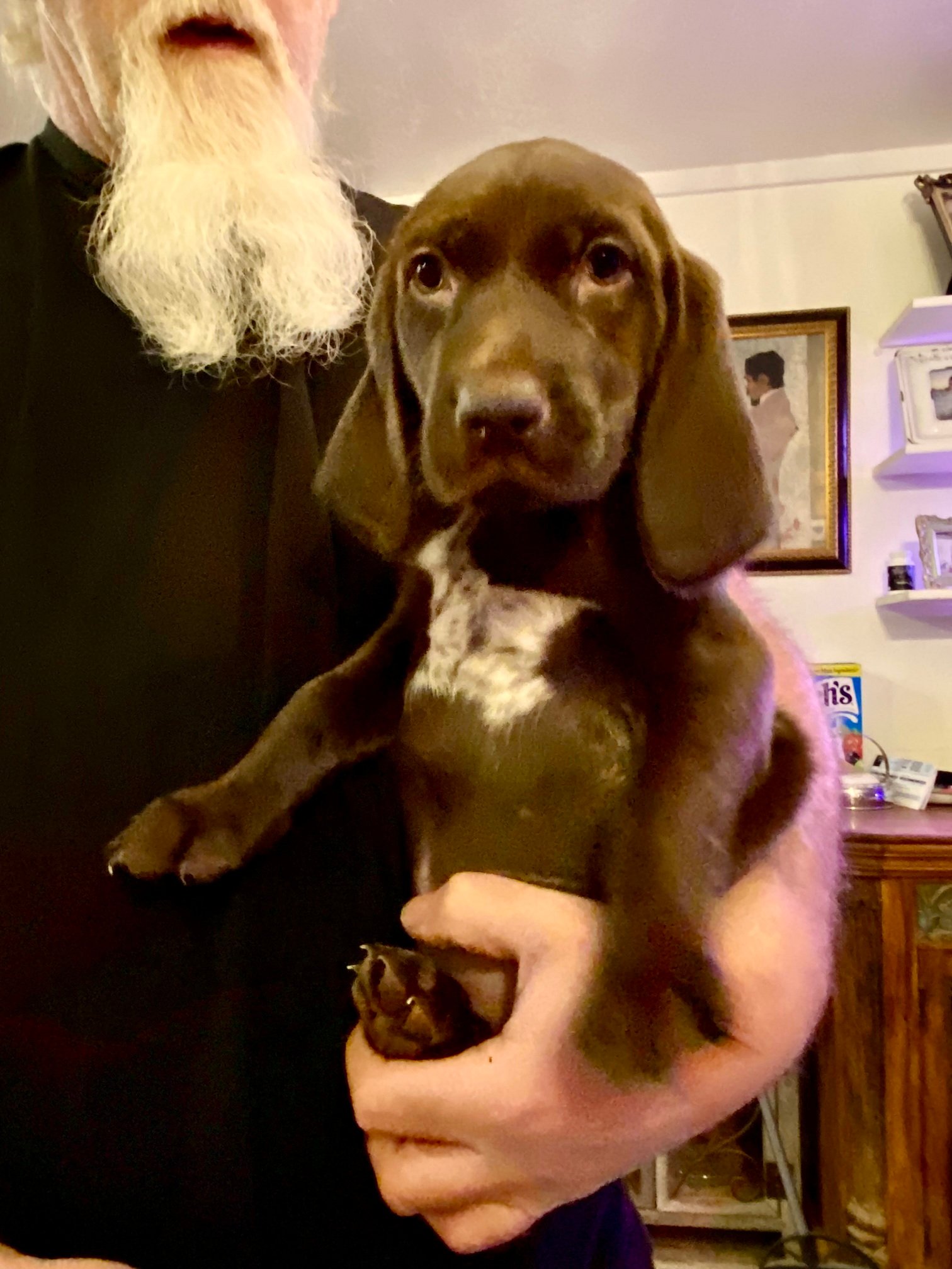 Blue Girl Fall 2025 004