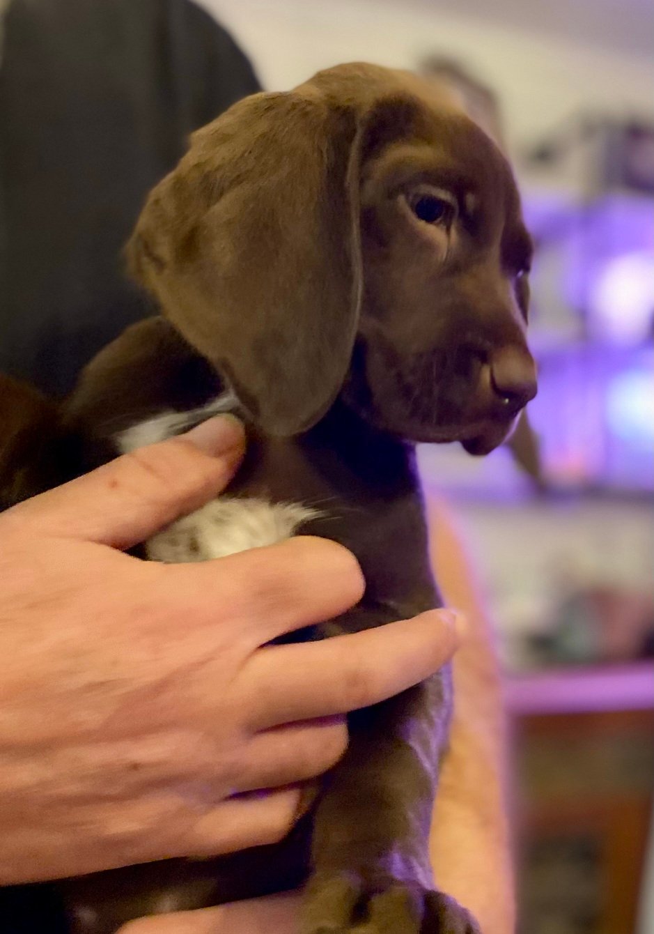 Blue Girl Fall 2025 005