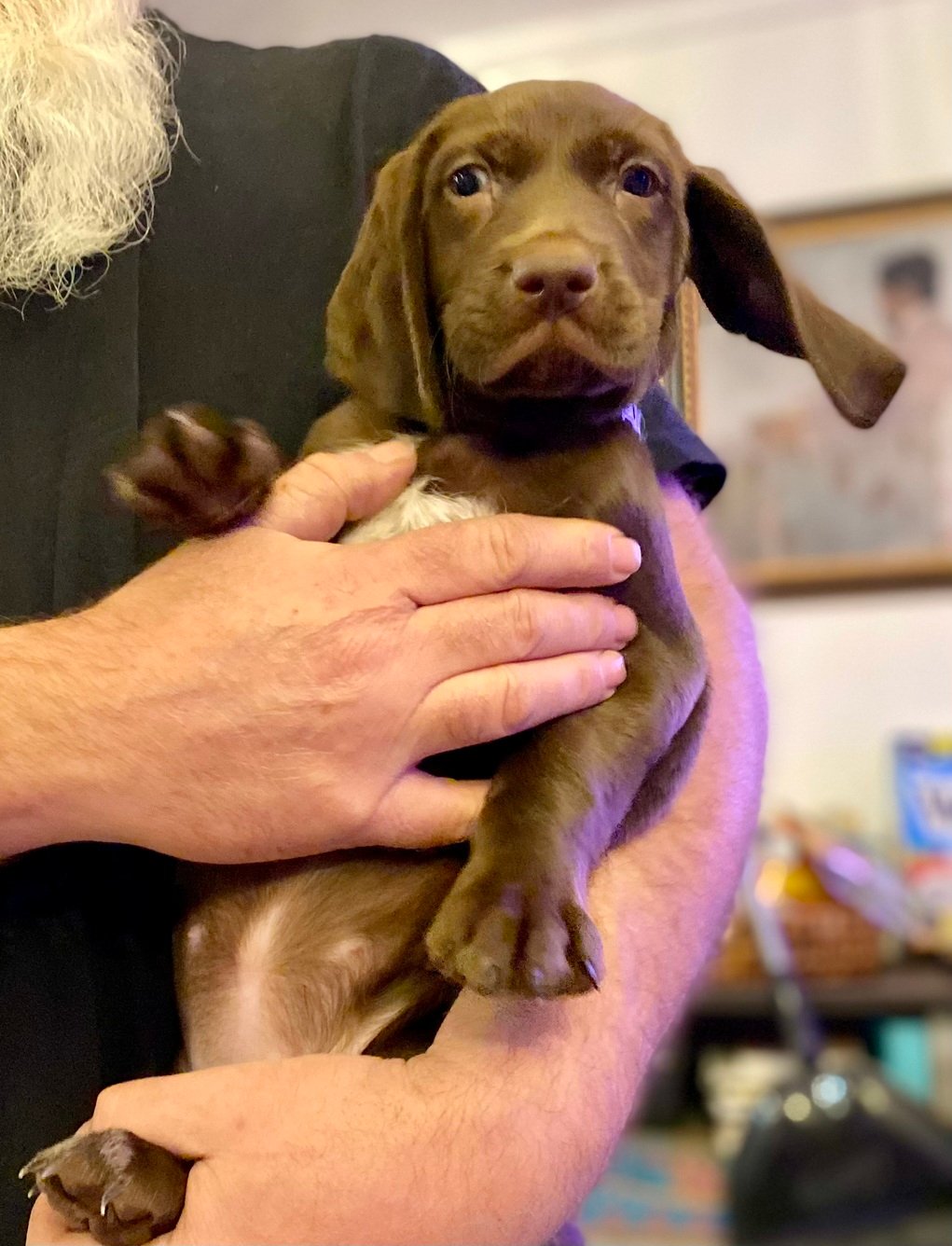 Blue Girl Fall 2025 006