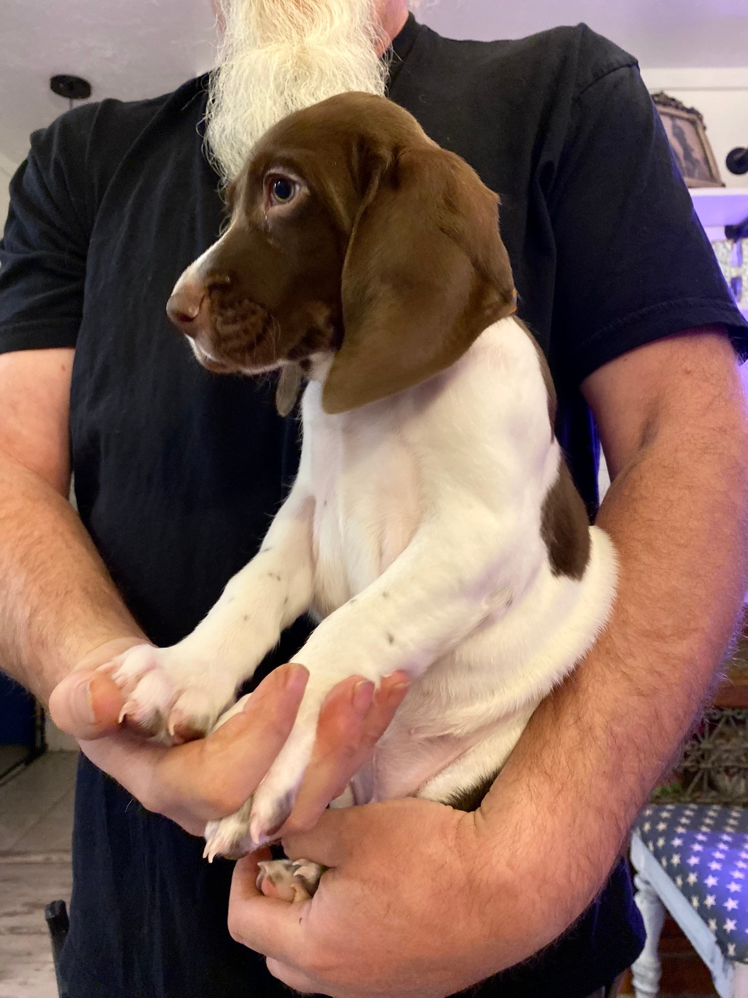 Brown Boy Fall 2025 001