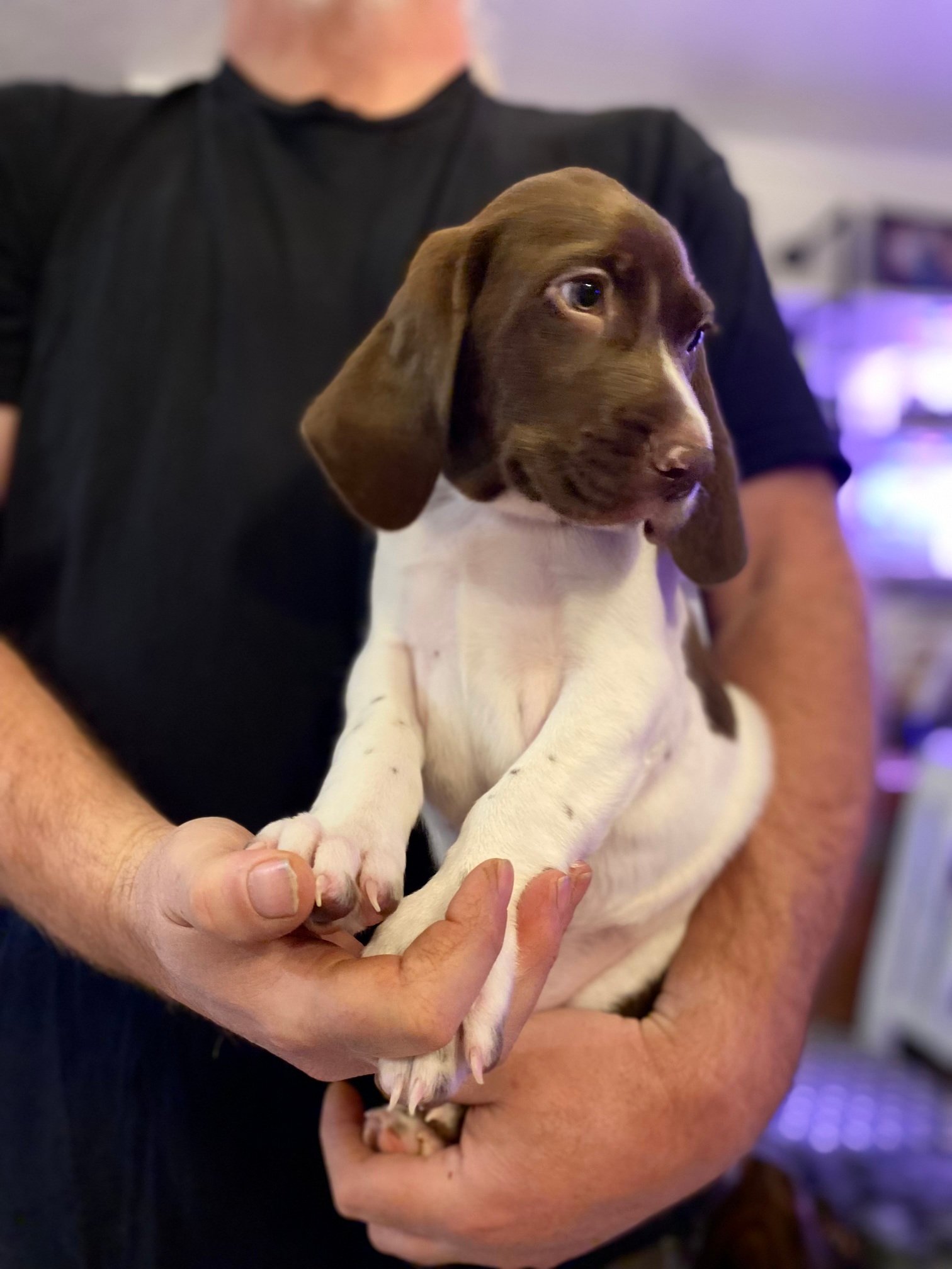 Brown Boy Fall 2025 002