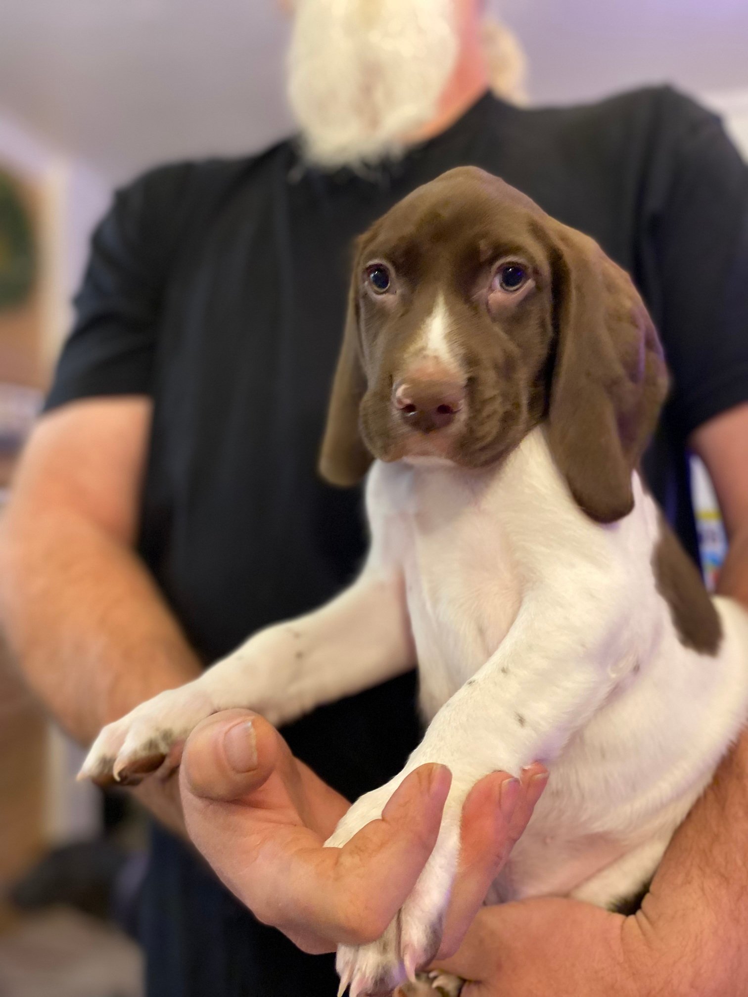 Brown Boy Fall 2025 003