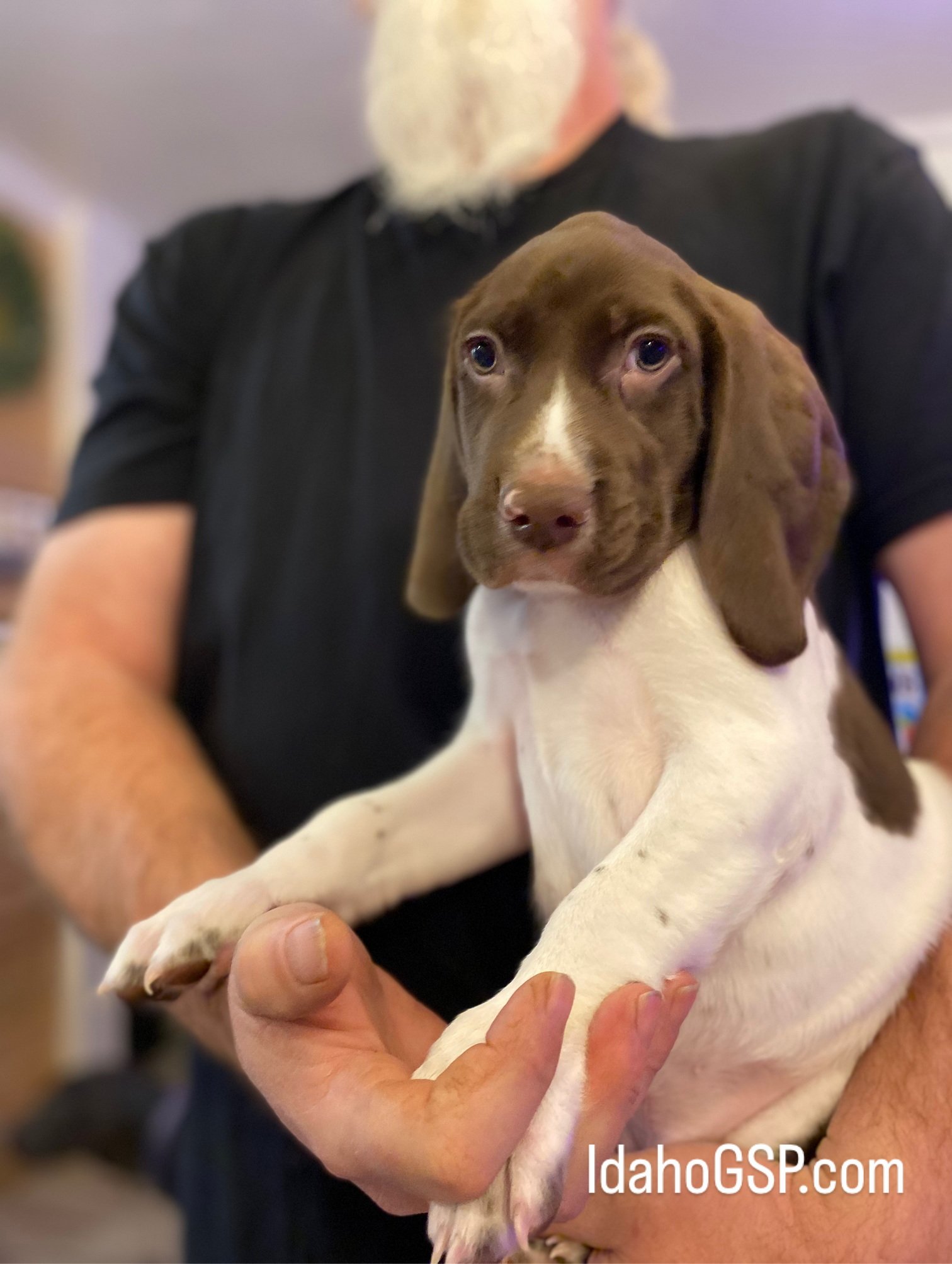 Brown Boy Fall 2025 005