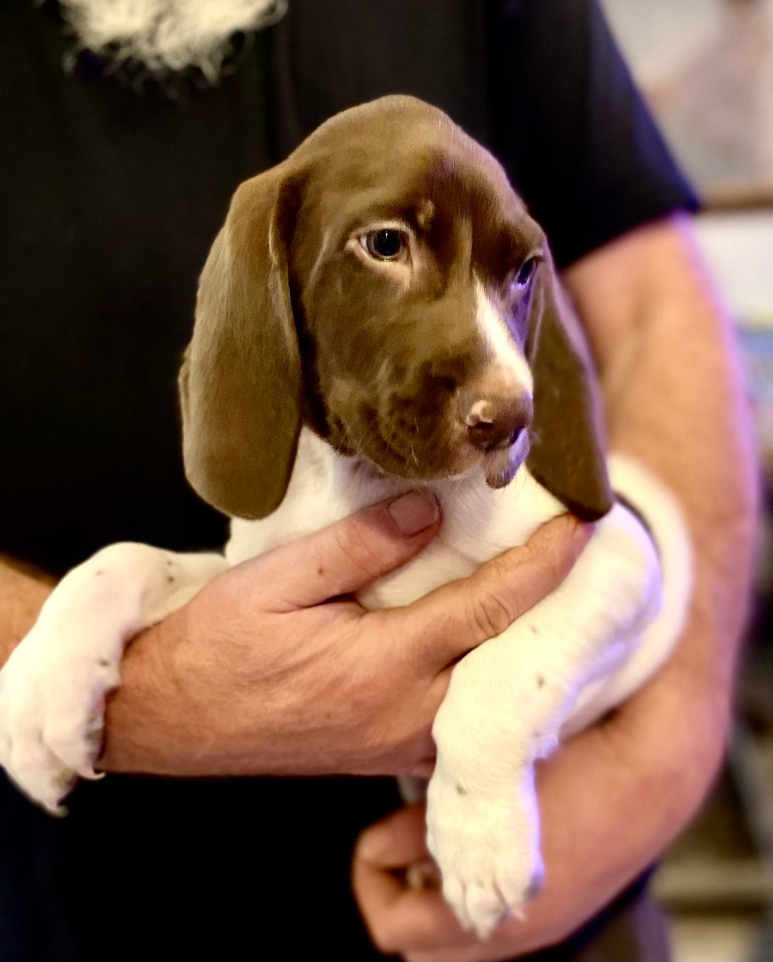 Brown Boy Fall 2025 006