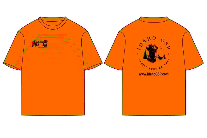 T-Shirt Large Orange image
