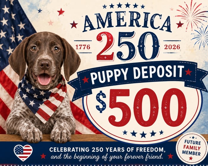 Puppy Deposit image